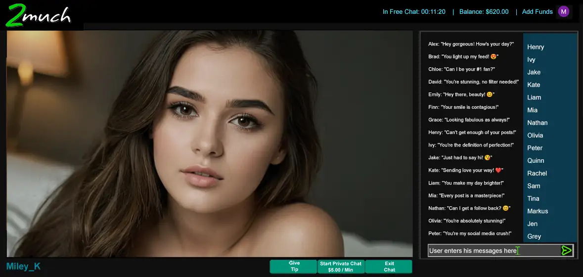 Miricam streaming software interface