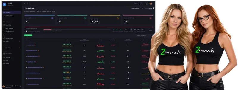 AutoSEO